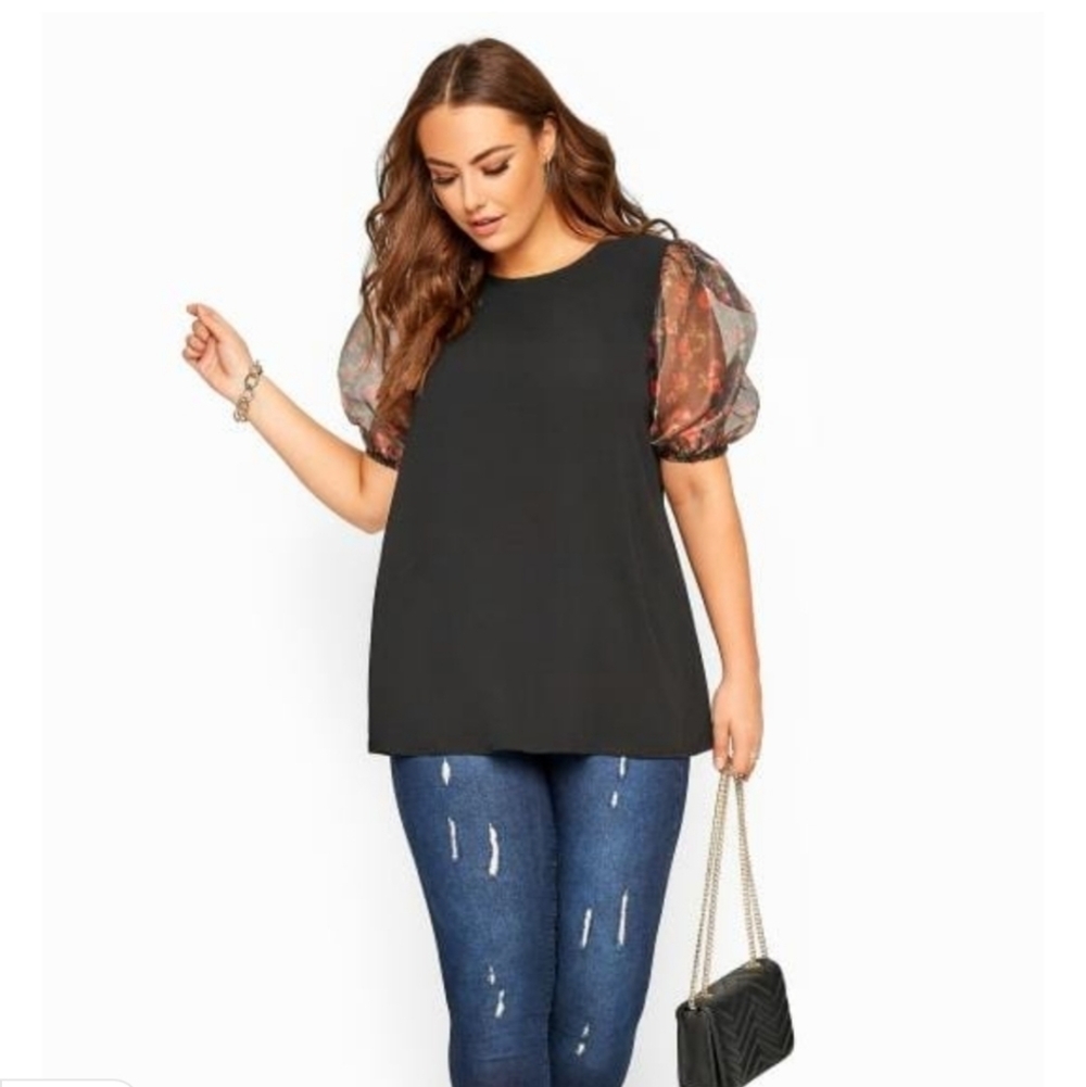 Occasion sheer floral‎ puff sleeve top
